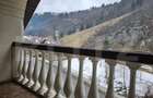 Casă la munte în Scărișoara – 286 mp, teren 2.699 mp - 19