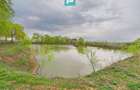 Teren 1 ha cu baltă populată – Alioș (Mașloc) - 3