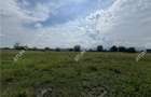 Teren intravilan de 8600 mp cu deschidere la doua drumuri in Cristian - 5