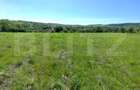 Casa 3 camere, 110 mp, 4800 mp teren, zona Horlesti - 3