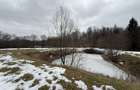 Teren extravilan | Horodnic De Sus | 3600MP - 10