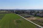 Teren Stupini, Ideal dezvoltare imobiliara - 5