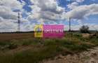 Teren 715mp în Snagov lângă Equestria - 24