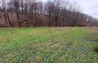 Resita, Teren Drept Intravilan, Langa Prau si Drum, Parcelabil, 4500 Mp., 15 Eur - 14
