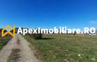 Corbeanca - Tamasi | Teren 1225mp, deschidere 44ml | Utilitati la 50m - 1