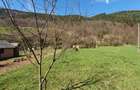 RECO Teren intravilan zona Bulz - 3