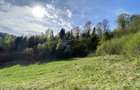 Teren panoramic însorit, utilități, panta mica si pădure, turism sau vacanță - 7