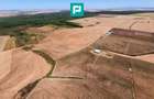 Teren intravilan agricol 558.500 mp Chevereșu Mare - 6