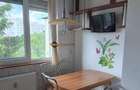 Dristor - Camil Ressu | 3 Camere | Decomandat | Metrou - 8