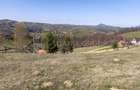 🌿 Teren Intravilan 3.791 mp | Priveliște Panoramică Superbă | Poiana Mărului - 27