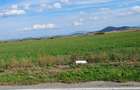 Codlea, 10000 mp, teren industrial, 15 e/mp - 1