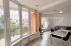 Casa individuala , 3 garaje , terasa ,  352mp utili, zona Dambu Rotund - 4