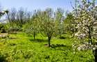 Casă P+1 cu teren de 1.769 mp, aproape de Titu – Săvești, Braniștea, Dâmbovița - 6