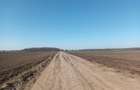 Teren de vanzare, Ordoreanu, Ferma de Struti, pret discutabil - 1