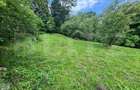 Teren intravilan, 1.000 mp, utilități la stradă, zona Fieni - 2