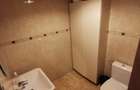 Dorobanți - Office Duplex ( Private yard ) - 14