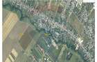 Teren intravilan 10,000mp Domnesti / Soseaua Curtea Domneasca - 5
