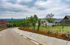 Casă din chirpici, bucătărie de vară și 1.34 ha de teren, Ardeoani - 3