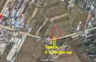 Proprietar, vand teren Albota, jud. Arges  29.300 mp deschidere 160 ml - 1