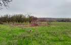 De vanzare casa +teren 16k mp in BARCANESTI / IL - 51