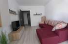 Apartament 2 camere, decomandat, 47 mp, centrala proprie, ac, Novum Lacul Morii - 5