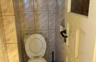 Apartament în vilă - 21