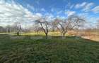 Teren de vanzare, 2366 mp - zona Bercu Rosu - 2