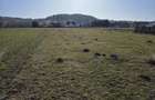 TEREN DE VÂNZARE – ZONA VÂRTEJ, ÎNTORSURA BUZĂULUI - 10
