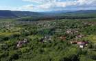 Casă de vânzare in natura la tara - Mihaesti - 11