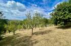 Casă + 1 apartament separat pe teren de 1.949 mp  cu panoramă Chinteni - 29