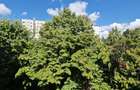 Garsonieră spațioasă, 41 mp, cu balcon incalzit amenajat ca birou – Bd Ferdinand - 16