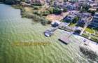 Ovidiu Sud-Vila de lux cu piscină și ponton situate pe malul lacului Siutghiol - 3