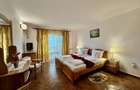 Hotel 20 camere Delta Dunarii 50 m deschidere teren 6000 mp acces auto - 12