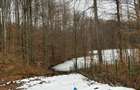 Exclusivitate! VILA PREMIUM CU DESCHIDERE LA LAC MOGOSA - 2