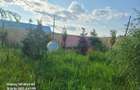 DE VANZARE CASA 10 CAM IN  SAT TEISORI (JUD. GIURGIU) - 26