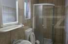 Casa 2 camere, 60 mp, 500 mp teren, zona Botizului - 8