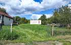 Vand teren | 4400 mp | Dambu Rotund - 2