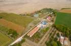 Teren 13.418 mp intravilan cu casă și 2 iazuri - 3