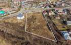 Teren 4,818 mp la strada principala in Gheraiesti Bacau - 2