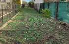 Teren intravilan Ploiesti-Zona Bariera Bucov - 6