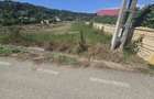 Teren intravilan,  stradal - intre case, Babana - 3