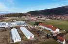Teren intravilan 1.729 mp + hală parțial demolată | Teliu I Comision 0 - 6