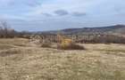 Teren intravilan 11.300mp, Barnova, cu acces auto si front stradal - 2
