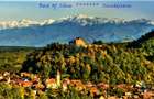 Parcele Teren cu PUZ si toate utilitatile / Cisnadioara-Sibiu - 9
