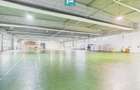 Hală industrială de 4.155 mp Calea Borșului - 3
