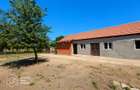 Casa cu 3 camere in Sinicolau Mic, teren 385 mp - 5