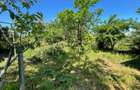 Casă individuală cu 3 dormitoare | teren 886 mp | Sebeș | Zona Ultracentrală - 4
