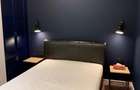 vanzare apartament deosebit 2 camere Herastrau - 5