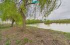 Teren 1 ha cu baltă populată – Alioș (Mașloc) - 9