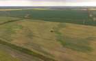 Teren investițional strategic 44.700 mp Arad Vest - 6